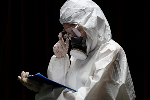 Mould Removal South East Queensland: Experts